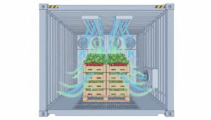 Diagram of air circulation within a refrigerated shipping container containing crates of fresh fruits and vegetables.