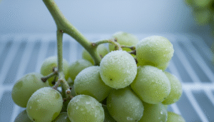Close-up of frozen green grapes with a layer of frost, sitting on a freezer shelf.
