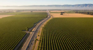 Aerial view of Highway 99 through Madera County almond orchards connecting Chowchilla and Madera California
